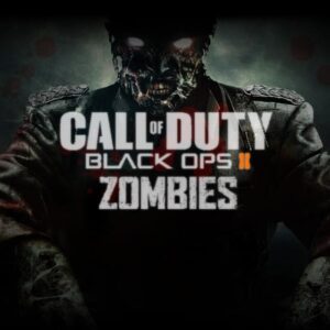 Time do call of dutty black ops 2