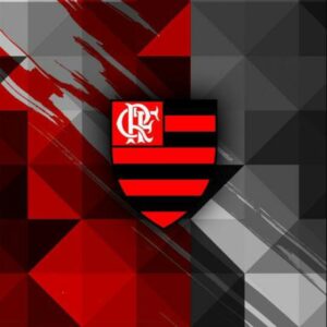 Flamengo noticias